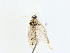  ( - CBG-A00326-C02)  @11 [ ] CreativeCommons - Attribution (2023) CBG Photography Group Centre for Biodiversity Genomics