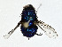  ( - CBG-A00326-D02)  @11 [ ] CreativeCommons - Attribution (2023) CBG Photography Group Centre for Biodiversity Genomics