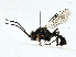  ( - CBG-A00326-H04)  @11 [ ] CreativeCommons - Attribution (2023) CBG Photography Group Centre for Biodiversity Genomics