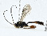  ( - CBG-A00329-D09)  @11 [ ] CreativeCommons - Attribution (2023) CBG Photography Group Centre for Biodiversity Genomics