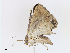  ( - CBG-A13257-E02)  @11 [ ] CreativeCommons - Attribution Share - Alike (2023) CBG Photography Group Centre for Biodiversity Genomics