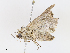  ( - CBG-A13257-E04)  @11 [ ] CreativeCommons - Attribution Share - Alike (2023) CBG Photography Group Centre for Biodiversity Genomics