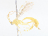  ( - CBG-A13276-G01)  @11 [ ] CreativeCommons - Attribution Share - Alike (2023) CBG Photography Group Centre for Biodiversity Genomics