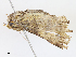 ( - CBG-A13345-B05)  @11 [ ] CreativeCommons - Attribution Share - Alike (2023) CBG Photography Group Centre for Biodiversity Genomics