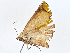  ( - CBG-A00345-B08)  @11 [ ] CreativeCommons - Attribution (2023) CBG Photography Group Centre for Biodiversity Genomics