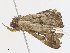  ( - CBG-A13347-C01)  @11 [ ] CreativeCommons - Attribution Share - Alike (2023) CBG Photography Group Centre for Biodiversity Genomics