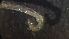  ( - 3S23)  @12 [ ] Copyright (2012) Jeffrey Ram Wayne State University School of Medicine