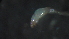  ( - 3T19)  @12 [ ] Copyright (2012) Jeffrey Ram Wayne State University School of Medicine