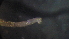  ( - 3T19)  @12 [ ] Copyright (2012) Jeffrey Ram Wayne State University School of Medicine