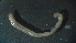  ( - 4J11)  @12 [ ] Copyright (2012) Jeffrey Ram Wayne State University School of Medicine