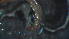  (Cryptochironomus sp - 4L10)  @13 [ ] Copyright (2012) Jeffrey Ram Wayne State University School of Medicine