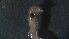  ( - 4L11)  @12 [ ] Copyright (2012) Jeffrey Ram Wayne State University School of Medicine
