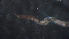  ( - 4X18)  @11 [ ] Copyright (2012) Jeffrey Ram Wayne State University School of Medicine