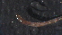  ( - 4X20)  @12 [ ] Copyright (2012) Jeffrey Ram Wayne State University School of Medicine