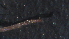  ( - 4X20)  @12 [ ] Copyright (2012) Jeffrey Ram Wayne State University School of Medicine