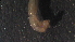  ( - 4Y34)  @12 [ ] Copyright (2012) Jeffrey Ram Wayne State University School of Medicine
