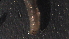  ( - 4Y34)  @12 [ ] Copyright (2012) Jeffrey Ram Wayne State University School of Medicine