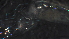  ( - 5-2G8)  @12 [ ] Copyright (2012) Jeffrey Ram Wayne State University School of Medicine