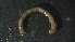  ( - 5A16)  @12 [ ] Copyright (2012) Jeffrey Ram Wayne State University School of Medicine