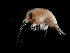  ( - MPMX-108)  @11 [ ] Unspecified (default): All Rights Reserved  Ana Ma. Parra-Flores Unspecified
