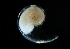  ( - THEC149)  @13 [ ] Unspecified (default): All Rights Reserved  Ana Ma. Parra-Flores Unspecified