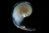  ( - THEC153)  @11 [ ] Unspecified (default): All Rights Reserved  Ana Ma. Parra-Flores Unspecified