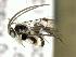  ( - CNCH2059)  @13 [ ] CreativeCommons - Attribution Non-Commercial Share-Alike (2016) Unspecified Canadian National Collection of Insects