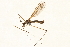  ( - 09PROBE-09642)  @13 [ ] CreativeCommons - Attribution (2010) Unspecified Centre for Biodiversity Genomics