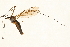  ( - 09PROBE-09649)  @14 [ ] CreativeCommons - Attribution (2010) Unspecified Centre for Biodiversity Genomics