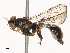  ( - CBG-B23313-D02)  @11 [ ] CreativeCommons - Attribution Share - Alike (2025) CBG Photography Group Centre for Biodiversity Genomics