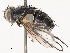  ( - CBG-B01176-C12)  @11 [ ] CreativeCommons - Attribution Share - Alike (2025) CBG Photography Group Centre for Biodiversity Genomics