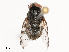  ( - CBG-B02497-E01)  @11 [ ] CreativeCommons - Attribution Share - Alike (2025) CBG Photography Group Centre for Biodiversity Genomics