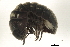  ( - 09BBIUS-0021)  @13 [ ] CreativeCommons - Attribution (2010) Unspecified Centre for Biodiversity Genomics