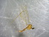  ( - bf-dip-00199)  @11 [ ] CreativeCommons - Attribution Share-Alike (2017) Olsen, K.M. BioFokus