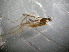  ( - bf-dip-00245)  @11 [ ] CreativeCommons - Attribution Share-Alike (2017) Olsen, K.M. BioFokus