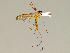  ( - CMNH12869)  @11 [ ] CreativeCommons - Attribution Non-Commercial No Derivatives (2011) Chen Young Carnegie Museum