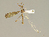  ( - CMNH301262)  @11 [ ] CreativeCommons - Attribution Non-Commercial No Derivatives (2011) Chen Young Carnegie Museum
