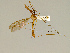  ( - CMNH45931)  @11 [ ] CreativeCommons - Attribution Non-Commercial No Derivatives (2011) Chen Young Carnegie Museum