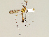  ( - CMNH576062)  @13 [ ] CreativeCommons - Attribution Non-Commercial No Derivatives (2011) Chen Young Carnegie Museum