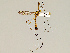  ( - CMNH576067)  @13 [ ] CreativeCommons - Attribution Non-Commercial No Derivatives (2011) Chen Young Carnegie Museum