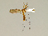  ( - CMNH508043)  @12 [ ] CreativeCommons - Attribution Non-Commercial No Derivatives (2011) Chen Young Carnegie Museum