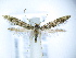  ( - TJ0003)  @14 [ ] CreativeCommons - Attribution Non-Commercial Share-Alike (2015) Tomasz Jaworski private