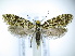  ( - TJ0016)  @15 [ ] CreativeCommons - Attribution Non-Commercial Share-Alike (2015) Tomasz Jaworski private
