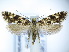  ( - TJ0027)  @13 [ ] CreativeCommons - Attribution Non-Commercial Share-Alike (2015) Tomasz Jaworski private