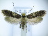  ( - TJ0062)  @14 [ ] CreativeCommons - Attribution Non-Commercial Share-Alike (2015) Tomasz Jaworski private