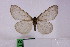  ( - STG108)  @11 [ ] Copyright (2012) Stanislav Gomboc Unspecified