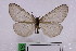  ( - STG213)  @11 [ ] Copyright (2015) Jurij Rekelj Research collection of Jurij Rekelj