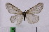  ( - STG215)  @11 [ ] Copyright (2015) Jurij Rekelj Research collection of Jurij Rekelj