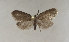 ( - STG781)  @11 [ ] CreativeCommons - Attribution Non-Commercial Share-Alike (2018) Zeljko Predovnik Institut National de la Recherche Agronomique (INRA)