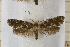  ( - clv110)  @14 [ ] Copyright (2008) Ian Sims Unspecified